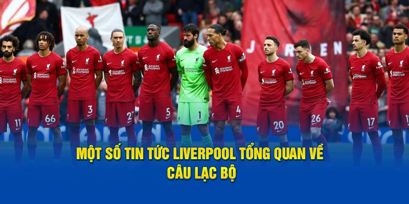 Một số tin tức Liverpool tổng quan về câu lạc bộ