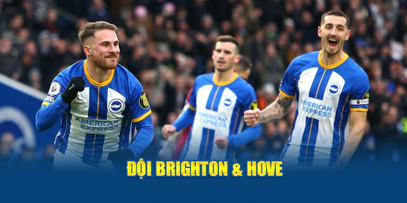 Đội Albion trong nhận định trận Brighton vs Tottenham