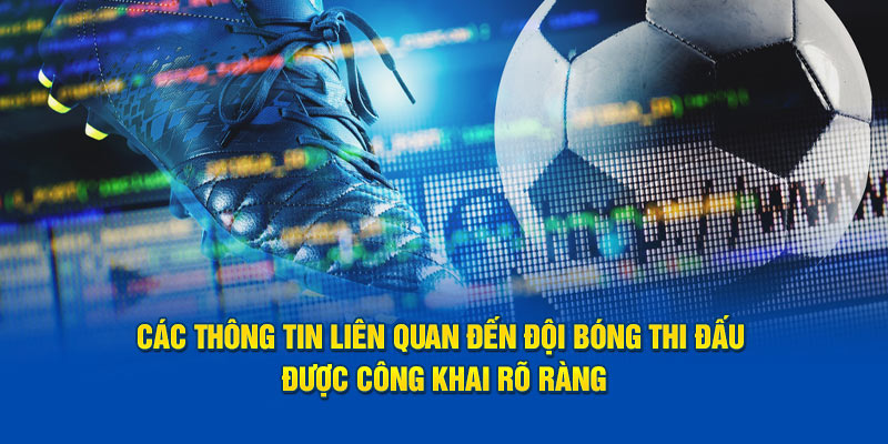 Các thông tin liên quan đến đội bóng thi đấu được công khai rõ ràng